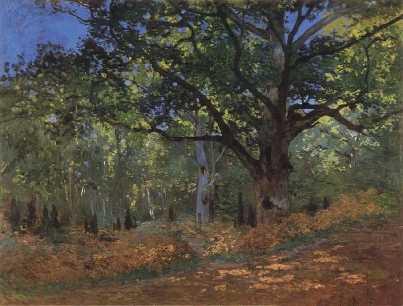 The Bodmer Oak,Forest of Fontainebleau, Claude Monet